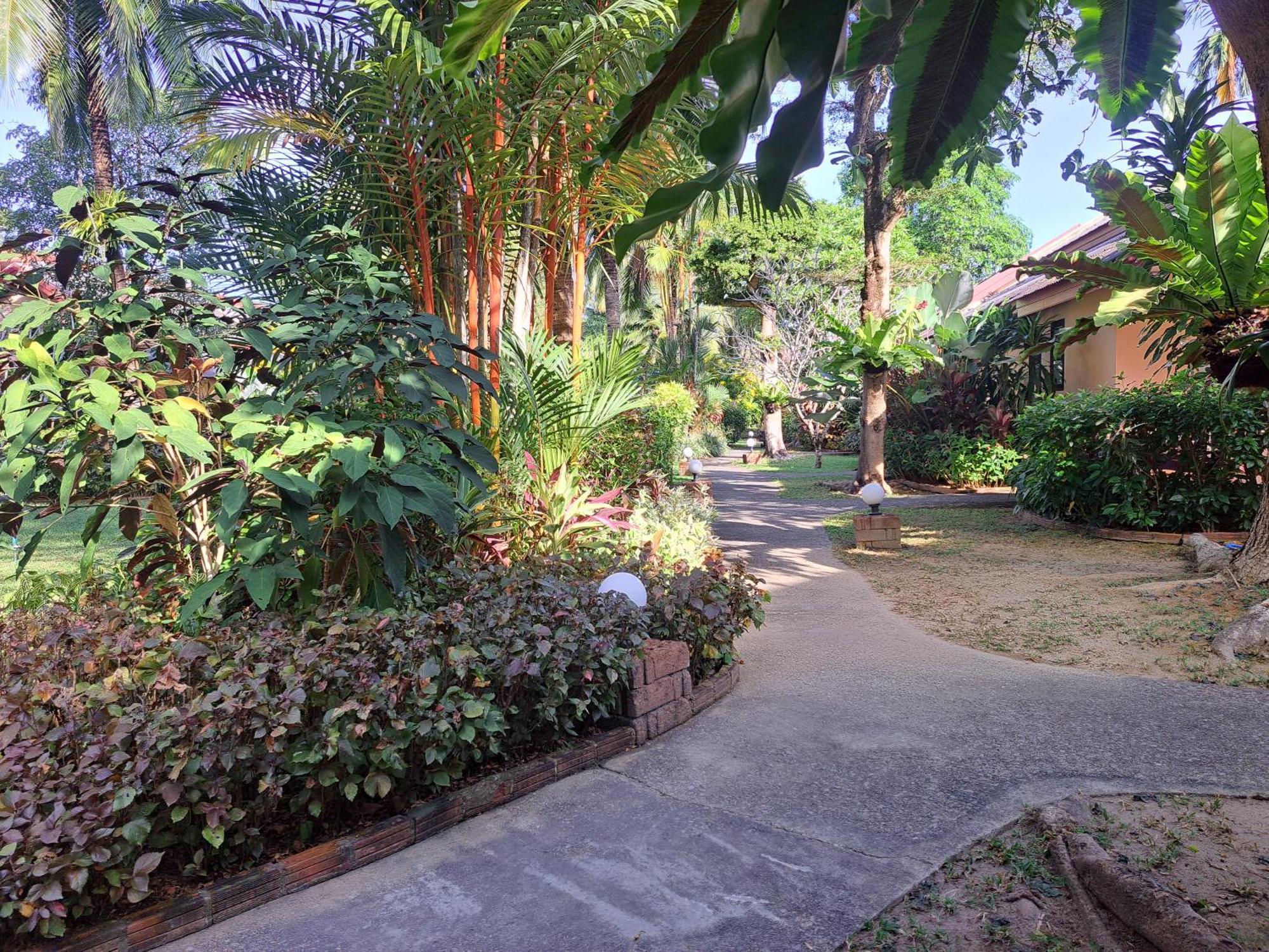 Jasmin Resort - Sha Plus Khao Lak Rom bilde