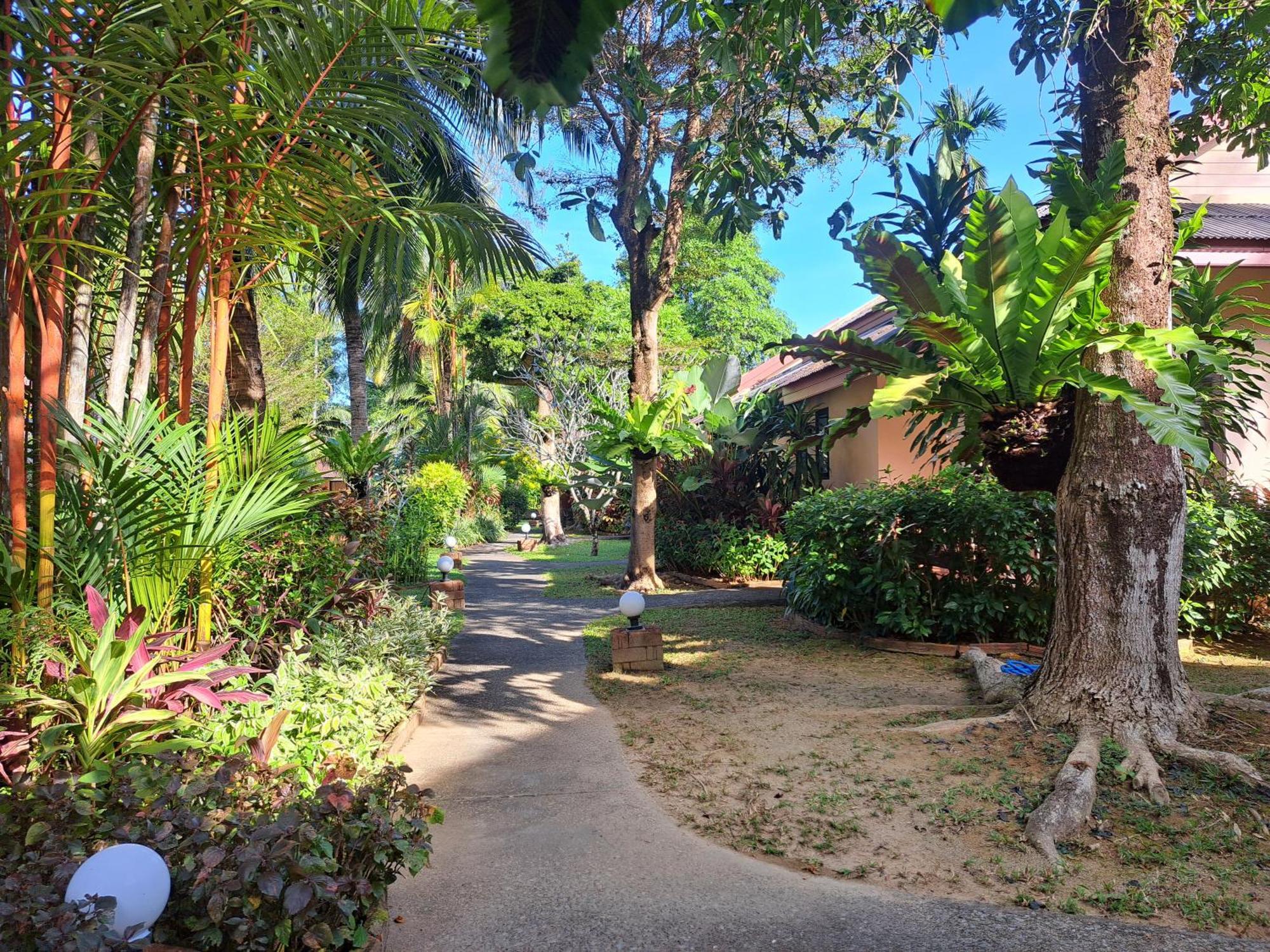 Jasmin Resort - Sha Plus Khao Lak Rom bilde