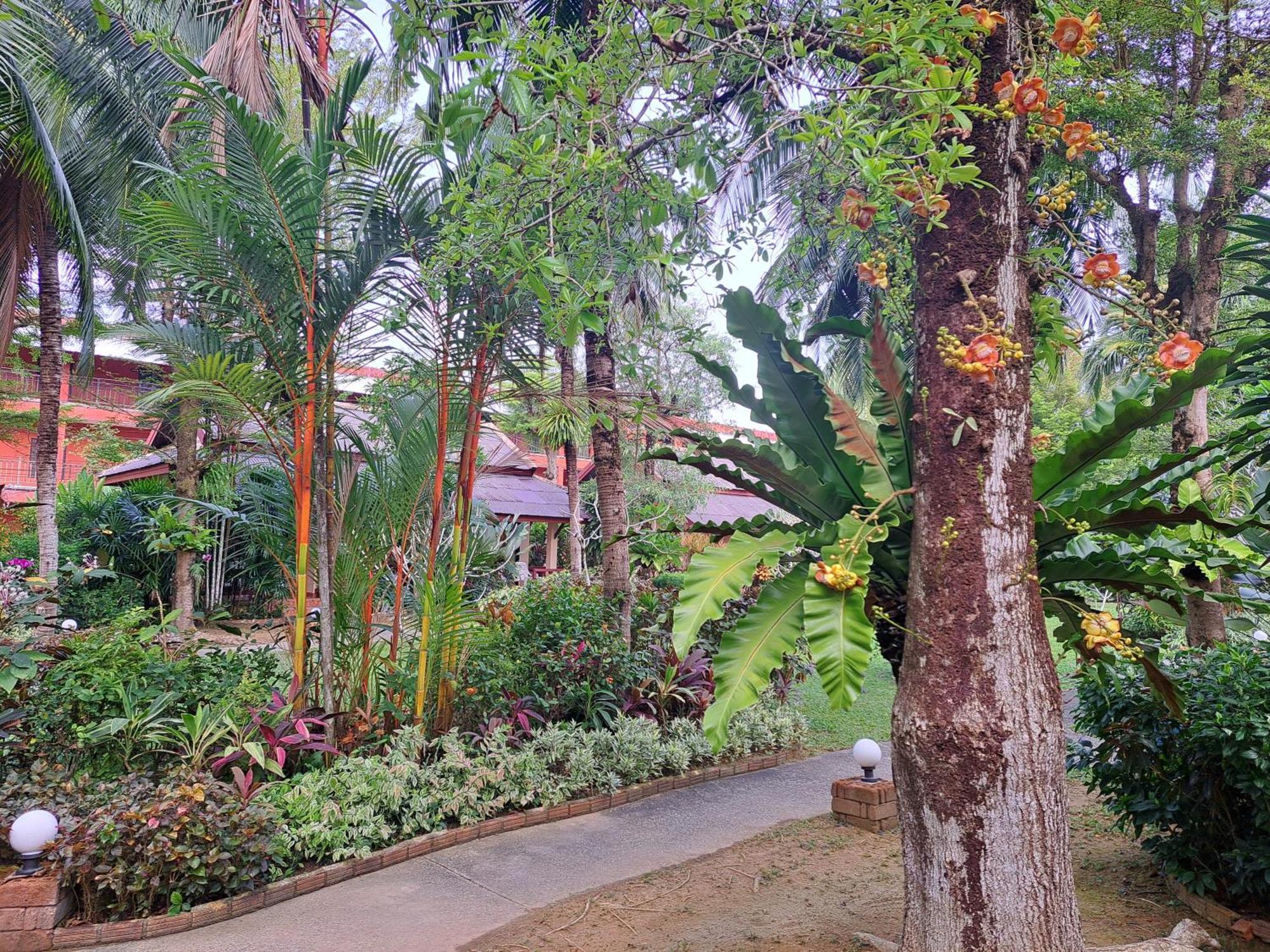 Jasmin Resort - Sha Plus Khao Lak Eksteriør bilde